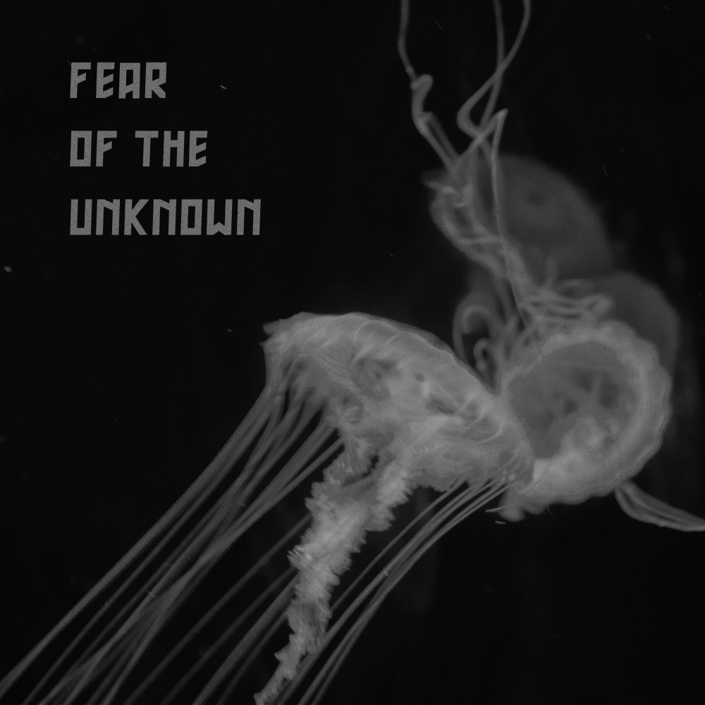 Fear of the Unknown (Original Mix)