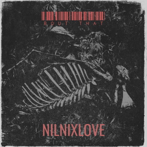 Album Bout That (Explicit) from NilNixLove