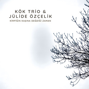 Album Kirpiğin Kaşına Değdiği Zaman from 