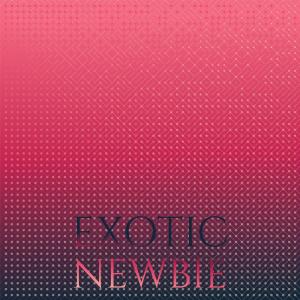 Various的专辑Exotic Newbie