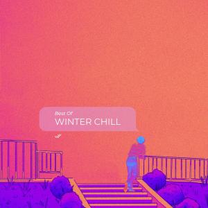 Album Best Of Winter Chill from Various Artists