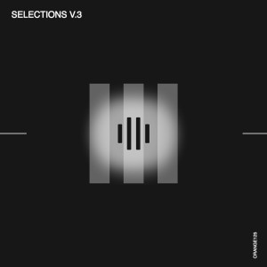 Various Artists的專輯Selections V.3
