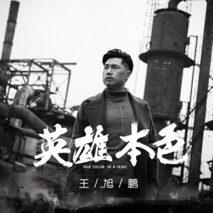 Listen to Ture Color of a Hero song with lyrics from 王旭鹏
