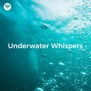 Underwater Deep Sleep White Noise Nature Ocean Sounds的專輯Underwater Whispers: Bubble Therapy for Mind and Body