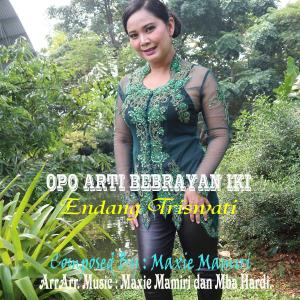 Album Opo Arti Bebrayan Iki oleh Endang Triswati