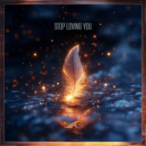 dreaming of cali的專輯stop loving you