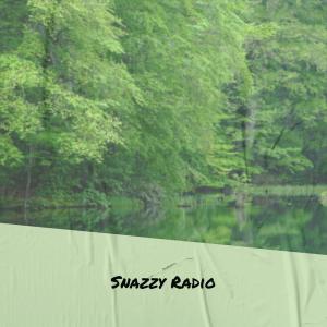 Album Snazzy Radio from Various
