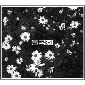 收听Deulgukhwa(들국화)的Please, Please歌词歌曲