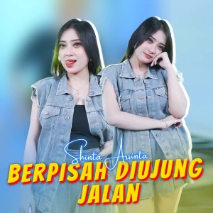 Dengarkan Berpisah Diujung Jalan lagu dari Shinta Arsinta dengan lirik