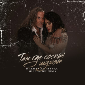 Album Там где сосны шумят from Никита Джигурда