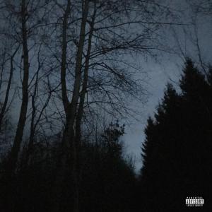 ดาวน์โหลดและฟังเพลง all alone. (feat. Conniex) (Explicit) พร้อมเนื้อเพลงจาก Mazyes