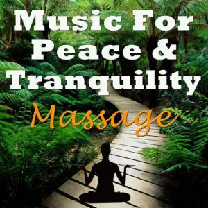 收聽Massage的Firefly歌詞歌曲