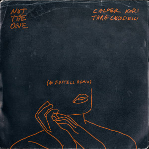 Album Not the One (N: Fostell Remix) from Calper