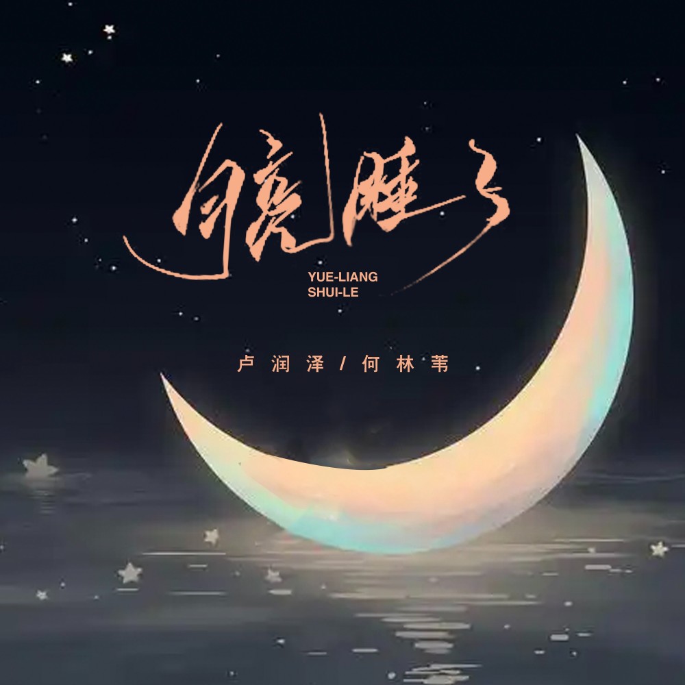 月亮睡了(DJ长梦环绕版) (完整版)