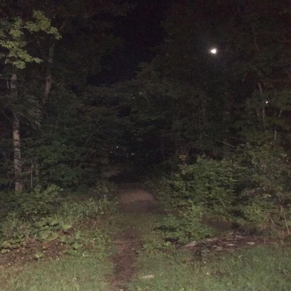 GREEN GARDEN OF REGRETS (Explicit)