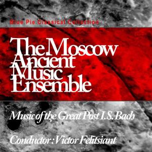 ดาวน์โหลดและฟังเพลง Aria from Cantata, BWV 202 พร้อมเนื้อเพลงจาก Moscow Ancient Music Ensemble