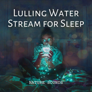Sea Sleeping Waves的專輯Nature Sounds: Lulling Water Stream for Sleep