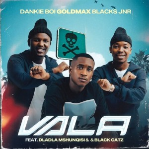 Album Vala from Dankie Boi