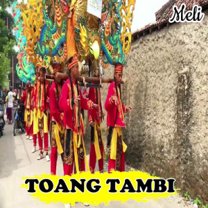 Album Toang Tambi from Meli