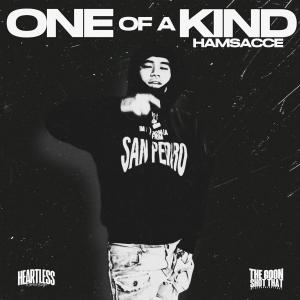 Hamsacce的專輯One Of A Kind (Explicit)