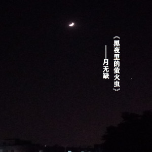 Album 黑夜里的萤火虫（慢节奏版） from 月无缺