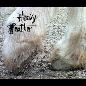 ดาวน์โหลดและฟังเพลง Senorita พร้อมเนื้อเพลงจาก Heavy Feather
