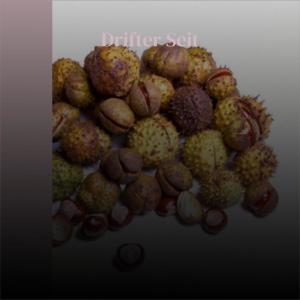 ดาวน์โหลดและฟังเพลง Drifter Seit พร้อมเนื้อเพลงจาก Mool Beram