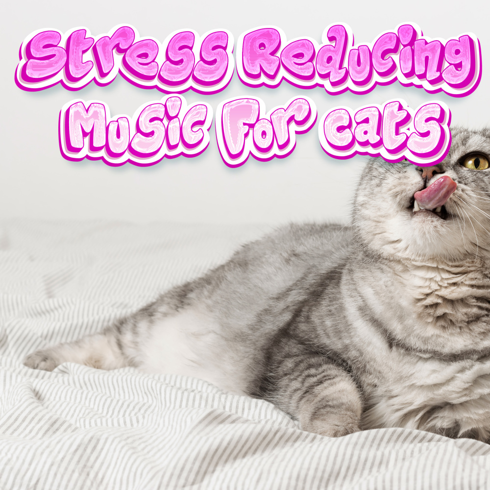 Lullabies for Cats
