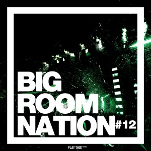 Album Big Room Nation, Vol. 12 from Various Artists