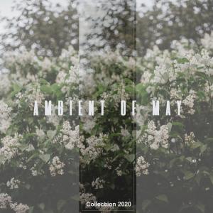 Various的专辑Ambient of May
