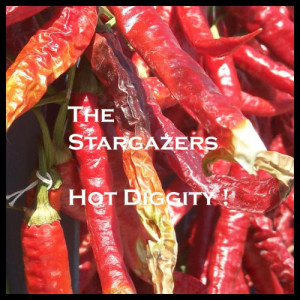ดาวน์โหลดและฟังเพลง Hot Diggity พร้อมเนื้อเพลงจาก Manning