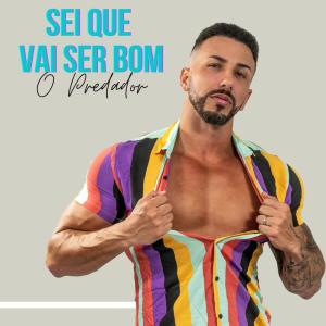 Listen to Sei Que Vai Ser Bom (Explicit) song with lyrics from O Predador