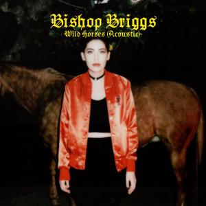 ดาวน์โหลดและฟังเพลง Wild Horses (Acoustic) พร้อมเนื้อเพลงจาก Bishop Briggs