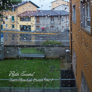 Rain Sound: Subtle Raindrops Outside Vol. 1