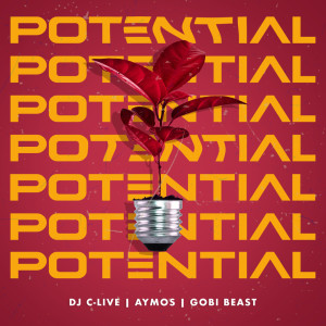 收聽DJ C-Live的Potential歌詞歌曲