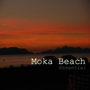 Listen to Pink Moon (Stradivarius Chilly Pop RMX) song with lyrics from Marco Sannino