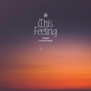 Listen to This Feeling song with lyrics from Hokø