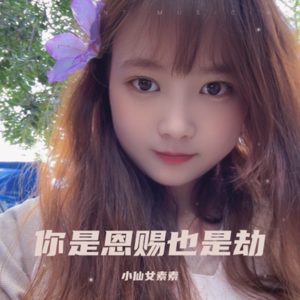 你是恩赐也是劫dj版 (伴奏)