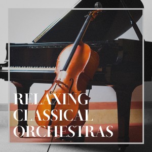 Various Artists的專輯Relaxing Classical Orchestras