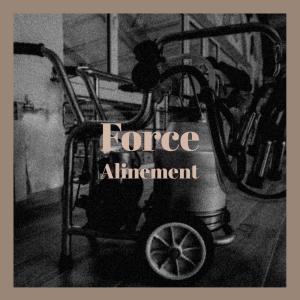 Album Force Alinement from 