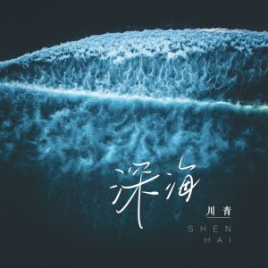 Listen to 沉入深海 song with lyrics from 川青