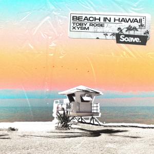Listen to Beach In Hawaii song with lyrics from Toby Rose