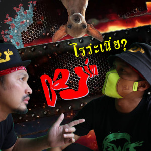 อัลบัม ไรวะเนี่ย  - Single ศิลปิน Dajim