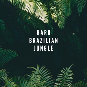 Listen to Brazilian Jungle song with lyrics from Haro