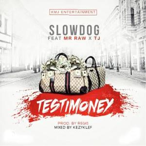 Album Testimony (feat. Mr Raw & Tj) from Slowdog