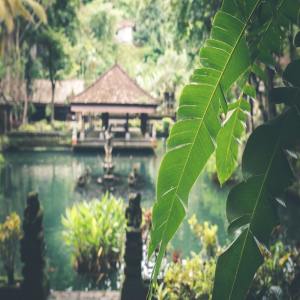 Listen to Buddhist Meditation song with lyrics from Deep Sleep
