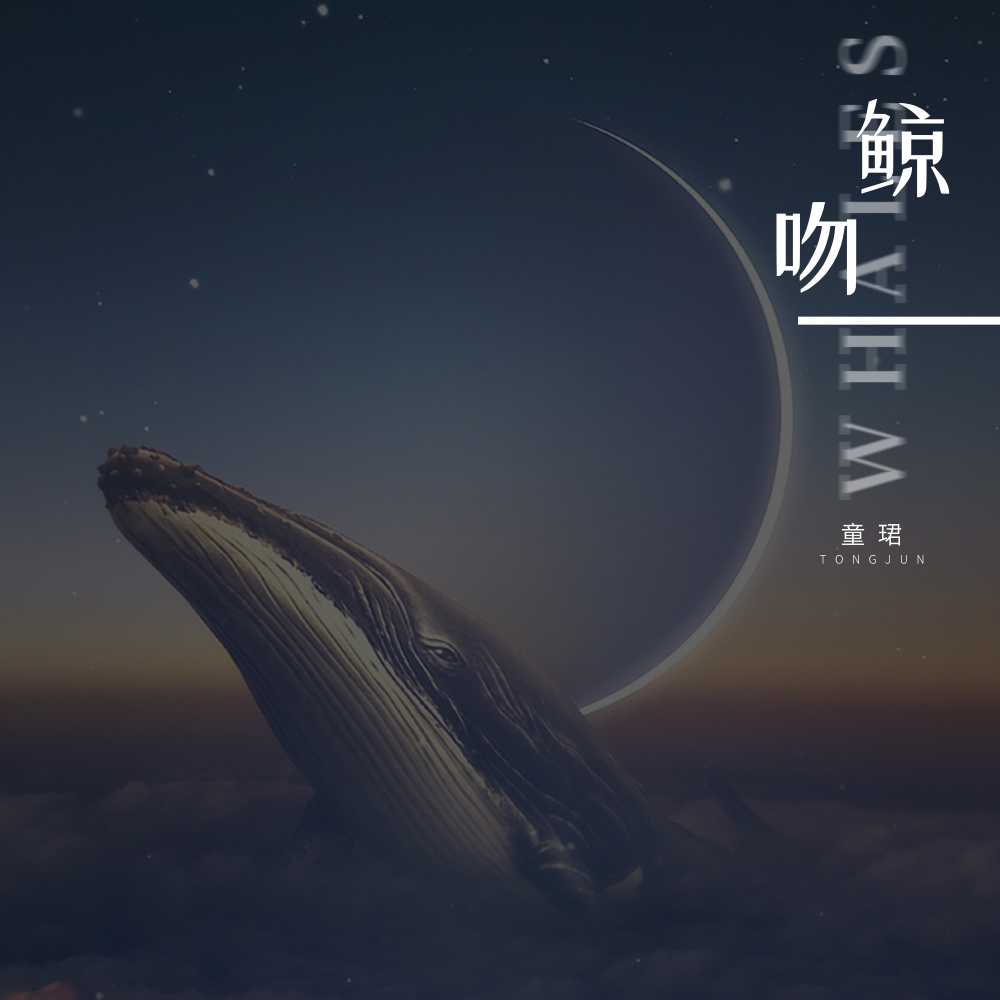 鲸吻 (伴奏)