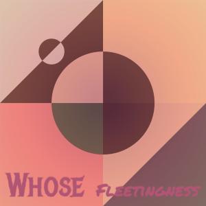 Various的专辑Whose Fleetingness