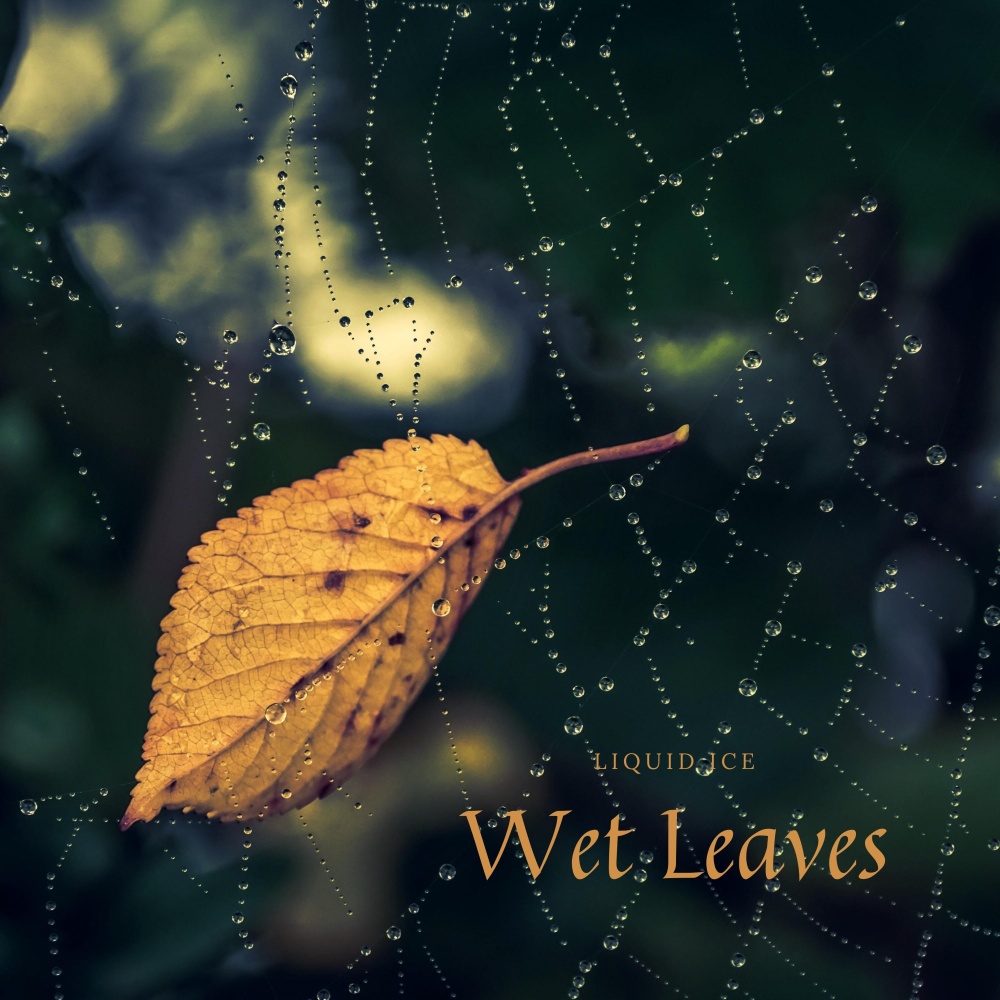 Wet Leaves