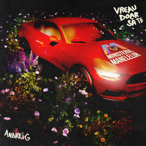 Listen to Vreau doar să te song with lyrics from Andrei G